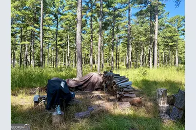 849 Orchard Road, Pine Mountain, GA 31823 - Photo 39