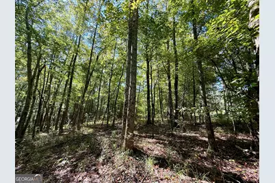 849 Orchard Road, Pine Mountain, GA 31823 - Photo 45