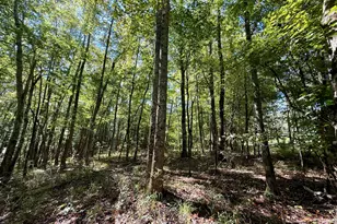 849 Orchard Rd, Pine Mountain, GA 31823 - Photo 45