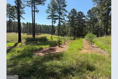 849 Orchard Road, Pine Mountain, GA 31823 - Photo 53