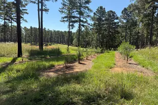 849 Orchard Rd, Pine Mountain, GA 31823 - Photo 53