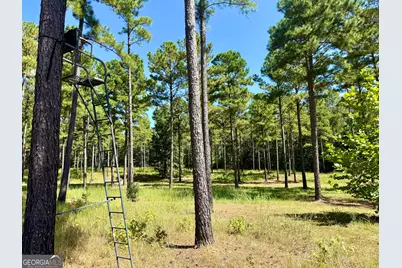 849 Orchard Road, Pine Mountain, GA 31823 - Photo 61