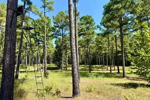 849 Orchard Rd, Pine Mountain, GA 31823 - Photo 61