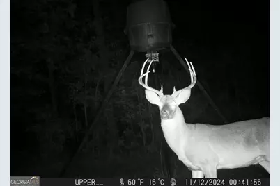 849 Orchard Road, Pine Mountain, GA 31823 - Photo 73