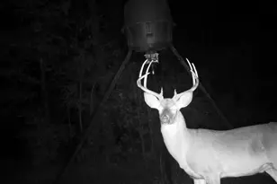 849 Orchard Rd, Pine Mountain, GA 31823 - Photo 73