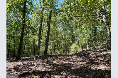 849 Orchard Road, Pine Mountain, GA 31823 - Photo 51