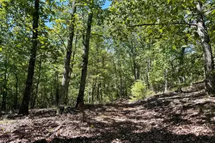 849 Orchard Rd, Pine Mountain, GA 31823 - Photo 51