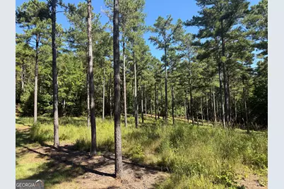 849 Orchard Road, Pine Mountain, GA 31823 - Photo 43