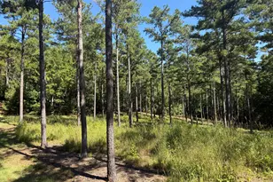 849 Orchard Rd, Pine Mountain, GA 31823 - Photo 43