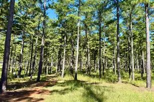 849 Orchard Rd, Pine Mountain, GA 31823 - Photo 37