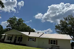 1533 W River Rd, Rhine, GA 31077 - Photo 3