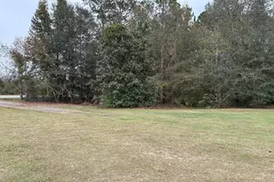 1533 W River Rd, Rhine, GA 31077 - Photo 39