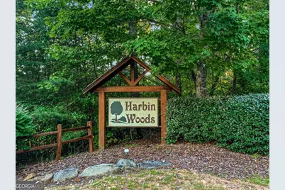 456 Lola Mae Way, Morganton, GA 30560 - Photo 59