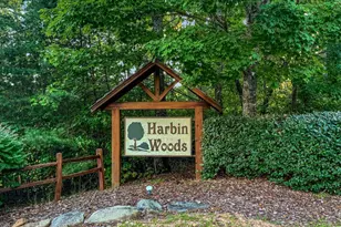 456 Lola Mae Way, Morganton, GA 30560 - Photo 59