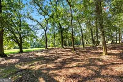 1320 Burroughs Road, Lavonia, GA 30553 - Photo 29