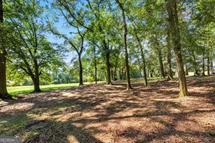 1320 Burroughs Rd, Lavonia, GA 30553 - Photo 29