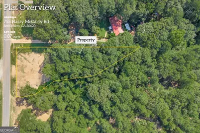 755 Harry McCarty Road, Bethlehem, GA 30620 - Photo 3