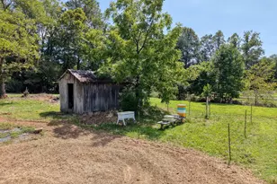 729 Collins Rd, Blairsville, GA 30512 - Photo 15