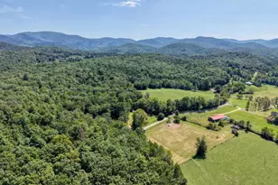 729 Collins Rd, Blairsville, GA 30512 - Photo 65