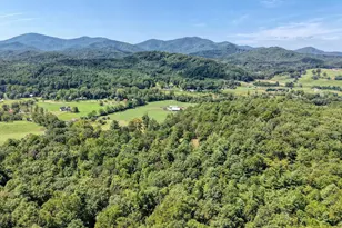 729 Collins Rd, Blairsville, GA 30512 - Photo 67