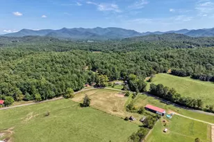 729 Collins Rd, Blairsville, GA 30512 - Photo 71