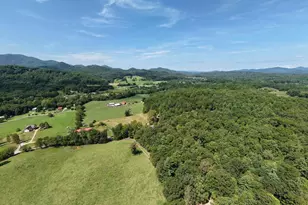 729 Collins Rd, Blairsville, GA 30512 - Photo 71