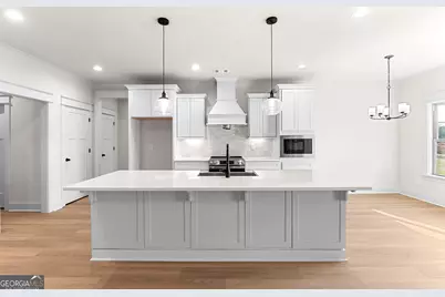 110 Black Birch Lane, Kathleen, GA 31047 - Photo 19