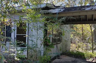 4377 Rock Mills Rd, Franklin, GA 30217 - Photo 7