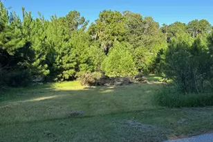 145 Knight Rd &amp 146 Willow Rd, Brunswick, GA 31525 - Photo 3