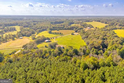 2448 Allen White Road, Bowman, GA 30624 - Photo 9