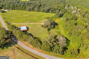 2448 Allen White Rd, Bowman, GA 30624 - Photo 39