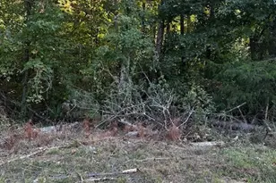 1103 W Adrian Cir SW, Conyers, GA 30094 - Photo 1