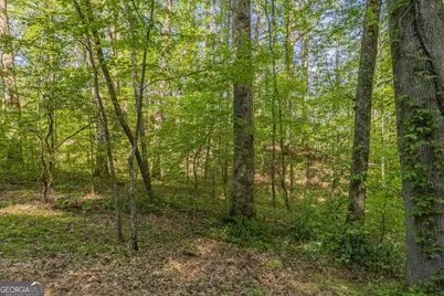 0 Ber Weg, Helen, GA 30545 - Photo 7
