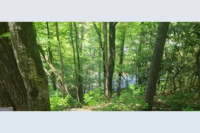 0 Ber Weg, Helen, GA 30545 - Photo 1