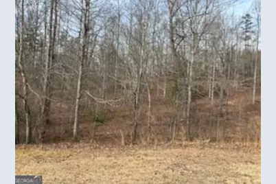 166 N Laceola Road, Cleveland, GA 30528 - Photo 9