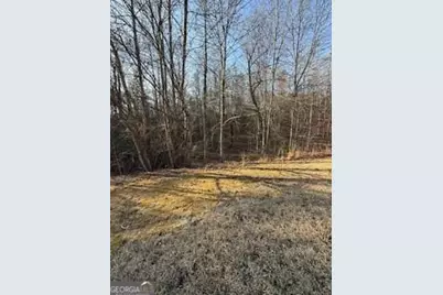 166 N Laceola Road, Cleveland, GA 30528 - Photo 17