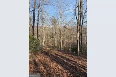 166 N Laceola Road, Cleveland, GA 30528 - Photo 13