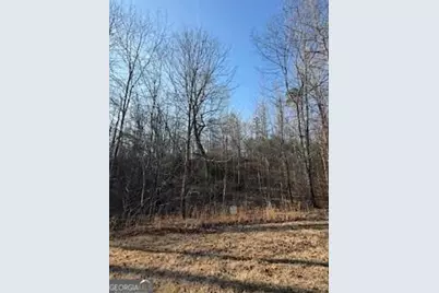 166 N Laceola Road, Cleveland, GA 30528 - Photo 21