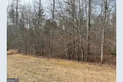 166 N Laceola Road, Cleveland, GA 30528 - Photo 9