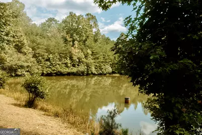 837 River Forest Run, Cleveland, GA 30528 - Photo 3