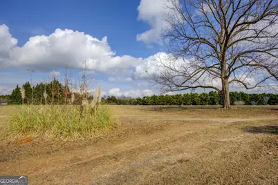 4517 Ga Highway 11 S, Hillsboro, GA 31038 - Photo 41