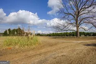 4517 Ga Hwy 11 S, Hillsboro, GA 31038 - Photo 41