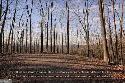 329 &amp; 335 Greystone Trace, Ellijay, GA 30540 - Photo 3