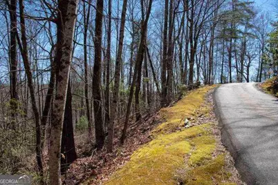 0 Round Top #43B, Clayton, GA 30525 - Photo 7