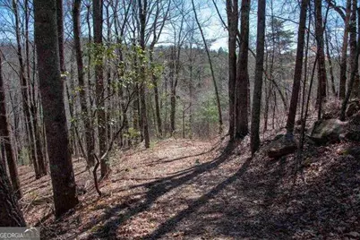 0 Round Top #43B, Clayton, GA 30525 - Photo 5