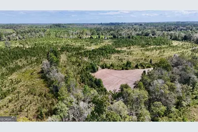 0 Ernest Carter Road, Hazlehurst, GA 31539 - Photo 7