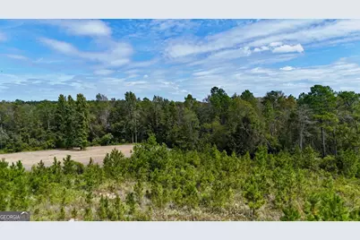0 Ernest Carter Road, Hazlehurst, GA 31539 - Photo 3