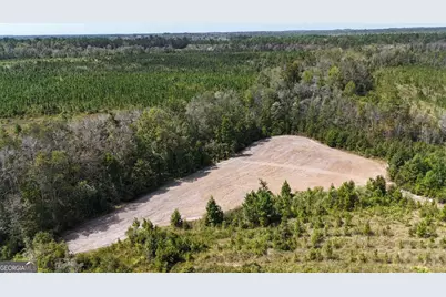 0 Ernest Carter Road, Hazlehurst, GA 31539 - Photo 9