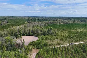 0 Ernest Carter Rd, Hazlehurst, GA 31539 - Photo 1