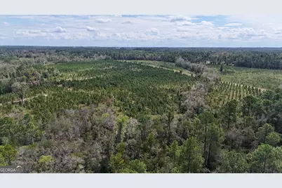 0 Ernest Carter Road, Hazlehurst, GA 31539 - Photo 5